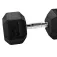 Olive Haltera hexagonal 27.5kg
