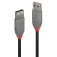 Lindy 1 m USB 数据线