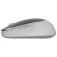 Dell Mouse wireless MS7421W