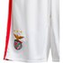 adidas Pantalones Cortos Junior SL Benfica 22/23
