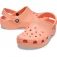 Crocs Classic clogs