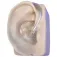 Docsplugs Pro Demostration Ears
