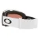 Oakley Maschera da sci Flight Deck L Prizm