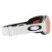 Oakley Maschera da sci Flight Deck M Prizm
