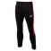 Joma Eco Championship pants