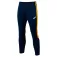Joma Eco Championship pants
