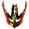 LS2 Visera MX700 Arched
