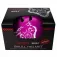 Bestial wolf Casco Junior Teschio