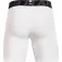 Under armour HeatGear Base layer shorts