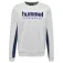 Hummel Sudadera Wesley