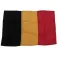 Goldenship Belgium Flag