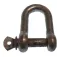 Goldenship Manille Dee Hot D Galvanized