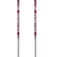Salomon Bastoncini junior Anodized