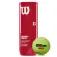 Wilson X3 padelbolde