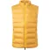 Hackett Armilla Lw