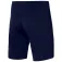 Nike Шорты Strike22 Kz