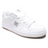 Dc shoes Manteca 4 trainers