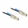 Delock Cable SAS 83395 1 m