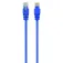 Gembird Cabo de rede cat5e Utp 1 m