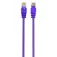 Gembird Cable de red CAT5e Utp 2 m