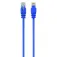 Gembird Cable de red CAT5e Utp 3 m