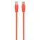 Gembird Cable de red CAT5e Utp 50 cm