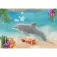 Playmobil Wiltopia Dolfijn