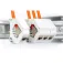 Digitus Cable de red CAT7 S/Ftp 50 m