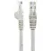 Startech U/Utp 15 m CAT6 网线