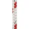 Poly ropes Cap PolyBraid 16 150 m