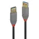 Lindy Cable USB 903120108 2 m