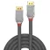 Lindy 1.4 0.5 m DisplayPort cable