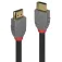 Lindy Cable HDMI 2 m