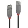 Lindy 2.0 2 m USB-A-kaapeli