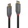 Lindy 5A 0.5 m USB-C cable