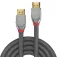 Lindy Standard 10 m HDMI cable