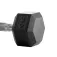 Bodytone Hex Dumbbells 10kg