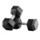 Bodytone Hex Dumbbells 20kg