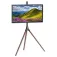 Techly Supporto TV ICA-TR18SAM 65´´