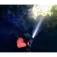 Orcatorch D530 LED torch