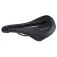 Protap Seient Ebike