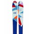 Line Skis Alpins Sir Francis Bacon