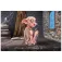 Nemesis now Dobby bystefigur 30 cm