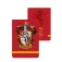 Harry potter Gryffindor Notesbog
