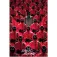Pyramid Squid Game Crowd Poster