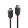Lindy DisplayPort 1.2 kabel 0.5 m