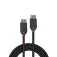 Lindy Cabo DisplayPort 1.2 0.5 m