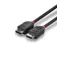 Lindy DisplayPort 1.2 kabel 0.5 m