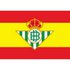Real betis Vlag Van Spanje