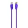 Gembird Cable de red CAT5 Utp 50 cm